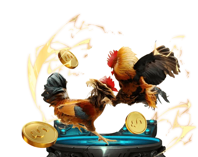 Cam kết của 188v8